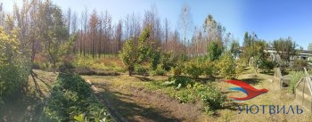 Бревенчатый дом в СНТ Ветеран в Звенигороде - zvenigorod.yutvil.ru - фото 12 Бревенчатый дом в СНТ Ветеран в Звенигороде - zvenigorod.yutvil.ru - фото 12