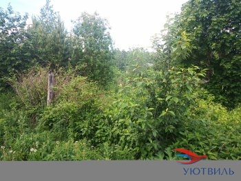 Земля в Станционном-Полевском в Звенигороде - zvenigorod.yutvil.ru - фото 2 Земля в Станционном-Полевском в Звенигороде - zvenigorod.yutvil.ru - фото 2
