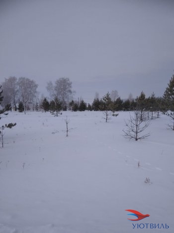 Земельный участок поселок Баженово в Звенигороде - zvenigorod.yutvil.ru - фото 2 Земельный участок поселок Баженово в Звенигороде - zvenigorod.yutvil.ru - фото 2