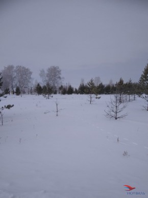 Баженово ул Южная д 7 в Звенигороде - zvenigorod.yutvil.ru - фото 2 Баженово ул Южная д 7 в Звенигороде - zvenigorod.yutvil.ru - фото 2