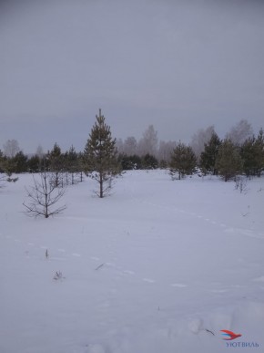 Баженово ул Южная д 7 в Звенигороде - zvenigorod.yutvil.ru - фото 5 Баженово ул Южная д 7 в Звенигороде - zvenigorod.yutvil.ru - фото 5
