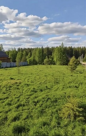 ДП Родной в Звенигороде - zvenigorod.yutvil.ru - фото 3 ДП Родной в Звенигороде - zvenigorod.yutvil.ru - фото 3