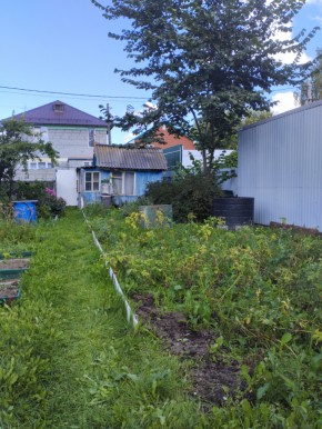 Коллективный сад номер 7, участок 58 в Звенигороде - zvenigorod.yutvil.ru - фото 25 Коллективный сад номер 7, участок 58 в Звенигороде - zvenigorod.yutvil.ru - фото 25