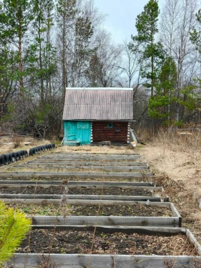 СНТ Родники в Звенигороде - zvenigorod.yutvil.ru - фото 7 СНТ Родники в Звенигороде - zvenigorod.yutvil.ru - фото 7