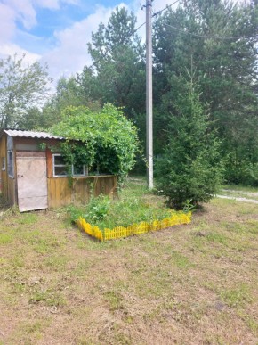 СНТ Родники в Звенигороде - zvenigorod.yutvil.ru - фото 1 СНТ Родники в Звенигороде - zvenigorod.yutvil.ru - фото 1
