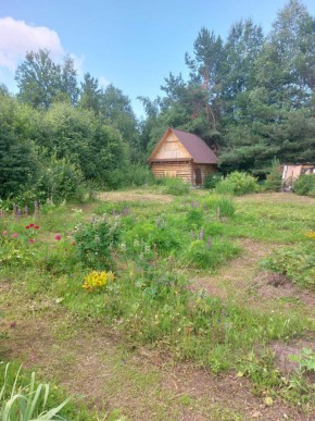 СНТ Родники в Звенигороде - zvenigorod.yutvil.ru - фото 2 СНТ Родники в Звенигороде - zvenigorod.yutvil.ru - фото 2