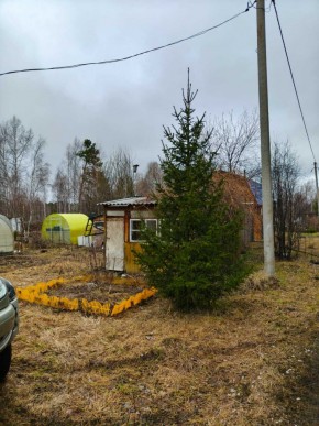 СНТ Родники в Звенигороде - zvenigorod.yutvil.ru - фото 5 СНТ Родники в Звенигороде - zvenigorod.yutvil.ru - фото 5