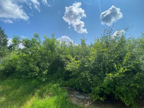 СПК Юбилейный, уч. 9 в Звенигороде - zvenigorod.yutvil.ru - фото 15 СПК Юбилейный, уч. 9 в Звенигороде - zvenigorod.yutvil.ru - фото 15