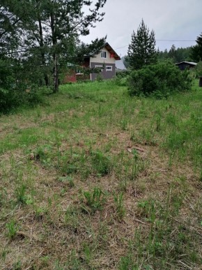 СТН Семья №112, Верхняя пышма на землях бывшего подсобного хозяйтва верхнепышминского опытного завода в Звенигороде - zvenigorod.yutvil.ru - фото 13 СТН Семья №112, Верхняя пышма на землях бывшего подсобного хозяйтва верхнепышминского опытного завода в Звенигороде - zvenigorod.yutvil.ru - фото 13