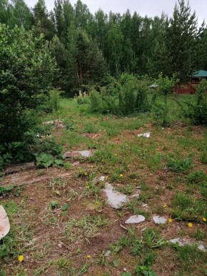 СТН Семья №112, Верхняя пышма на землях бывшего подсобного хозяйтва верхнепышминского опытного завода в Звенигороде - zvenigorod.yutvil.ru - фото 17 СТН Семья №112, Верхняя пышма на землях бывшего подсобного хозяйтва верхнепышминского опытного завода в Звенигороде - zvenigorod.yutvil.ru - фото 17