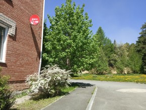 ул. Сосновая, 8 в Звенигороде - zvenigorod.yutvil.ru - фото 25 ул. Сосновая, 8 в Звенигороде - zvenigorod.yutvil.ru - фото 25