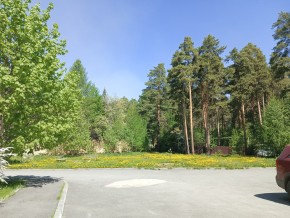 ул. Сосновая, 8 в Звенигороде - zvenigorod.yutvil.ru - фото 26 ул. Сосновая, 8 в Звенигороде - zvenigorod.yutvil.ru - фото 26