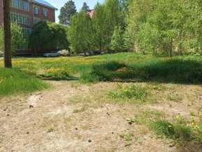 ул. Сосновая, 8 в Звенигороде - zvenigorod.yutvil.ru - фото 33 ул. Сосновая, 8 в Звенигороде - zvenigorod.yutvil.ru - фото 33