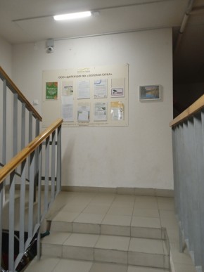 ул. Высокая,7 в Звенигороде - zvenigorod.yutvil.ru - фото 9 ул. Высокая,7 в Звенигороде - zvenigorod.yutvil.ru - фото 9